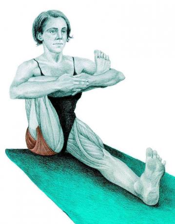 Anatomia stretching: postura jumătate de zi porumbel