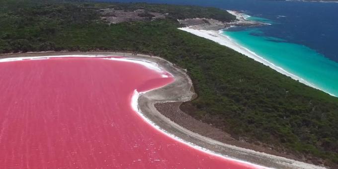 Uimitor loc frumos: Rose Lake Hillier, Australia