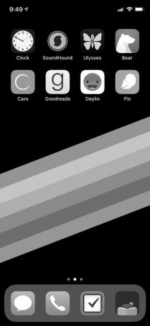 iPhone ecran negru alb-