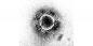 Cât va dura imunitatea la noul coronavirus?
