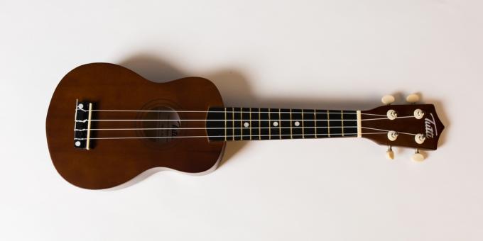 Ce să dea la un prieten în ajunul Anului Nou: ukulele