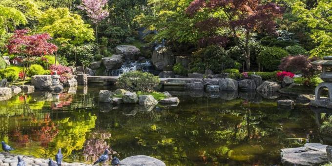 Ce să vezi în Londra: Japoneză de la Kyoto Garden in Holland Park