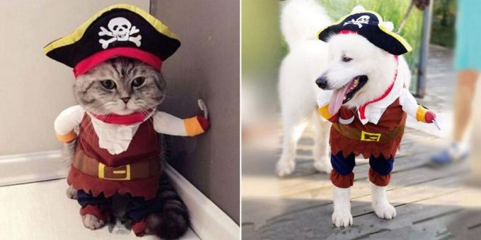 Costume de Crăciun pentru câini și pisici: Fluffy Pirate