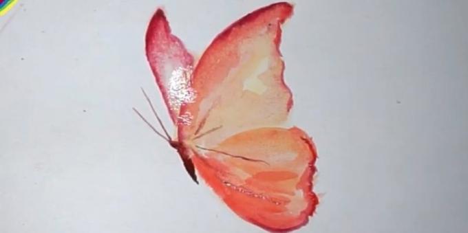 Cum de a desena un fluture culori realiste