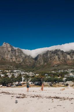 Plimbare cu pinguini și degustare de vinuri: ce să vezi și unde să mergi în Cape Town