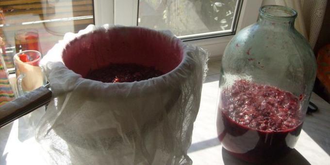 Cum de a face vin de coacăze roșii la domiciliu. Toate fructe de pădure trebuie să rămână în Marl