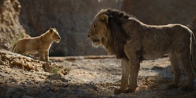 "The Lion King": Simba și Cicatricea