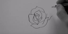 Cum de a desena un trandafir de 20 de moduri diferite