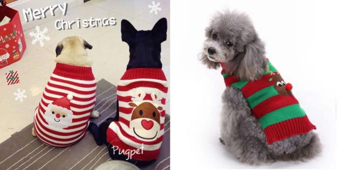 Costume de Crăciun pentru câini: pulover
