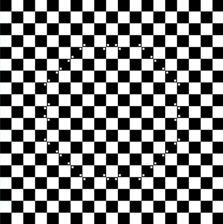 iluzii optice. tablă de șah