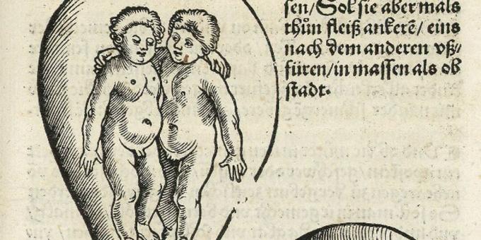 Copiii din Evul Mediu: Gemeni în pântece, Eucharius Rodion