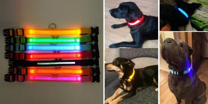 Produse pentru plimbarea câinelui: guler luminos