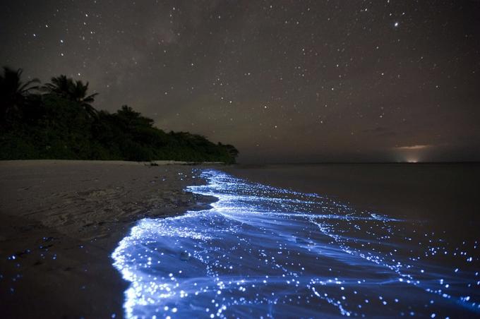 Bioluminescente Beach - Vaadhoo, Maldive cele mai bune plaje