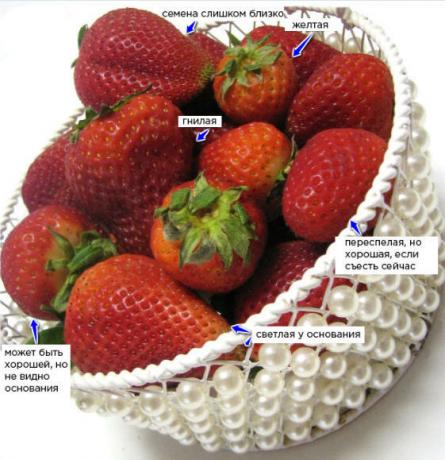 cum să alegeți căpșuni
