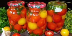 5 de tomate murate delicioase