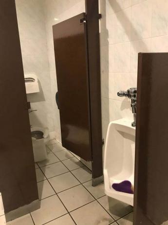 proiectare toaletă