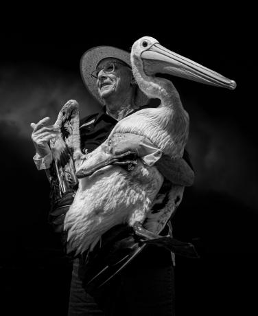 Pelican Owner de Tony Lowe