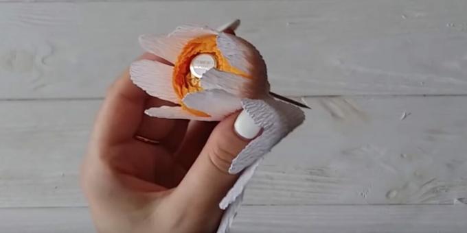 Cum să faceți un buchet de bomboane cu propriile mâini: faceți primul rând de petale