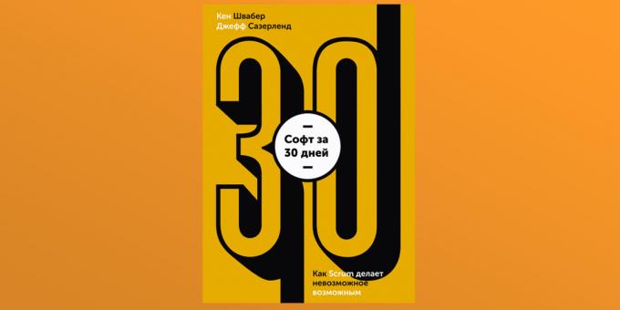 „Soft în 30 de zile” de Ken Schwaber și Jeff Sutherland