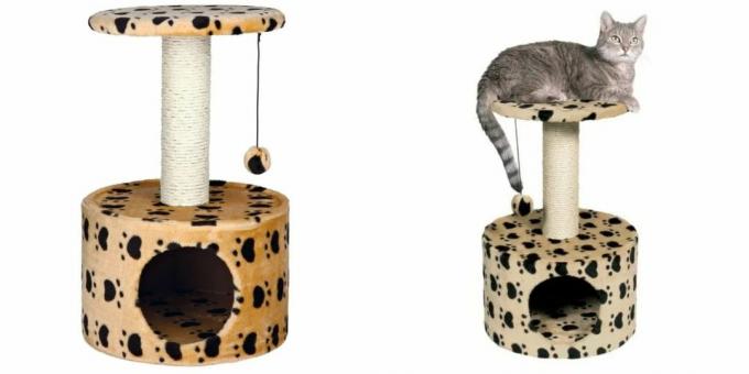 Case pentru pisici: cu o jucărie și un stâlp de zgâriere