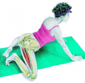 Stretching Anatomie în imagini: exerciții pentru întregul corp