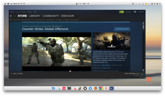 Linux Mint Steam