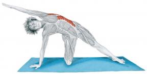 Stretching Anatomie în imagini: exerciții pentru mușchii corpului