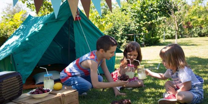 ziua de nastere pentru copii: drumeții cu un picnic în finală
