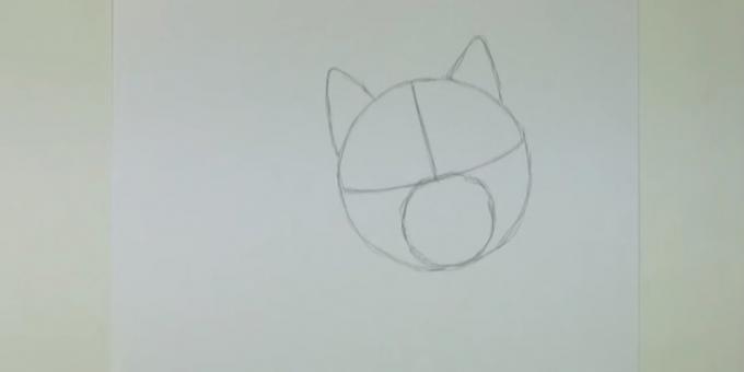 Desenează un cerc și marchează urechile mai mici