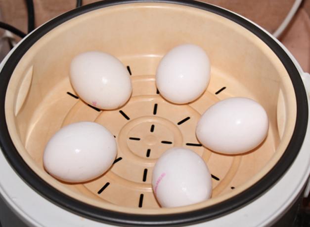 Cum de a găti ouăle într-un cazan dublu sau multivarka