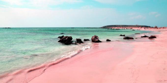 Locul uimitor de frumos: o plaja roz în Sardinia, Italia