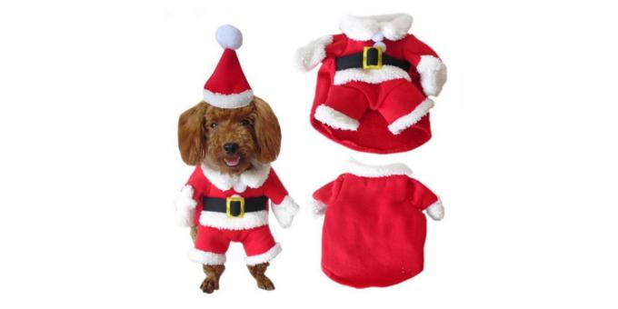 Costumul festiv pentru un câine
