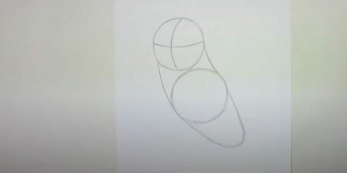 Cum să desenezi o bufniță: conturează corpul, pieptul și gâtul