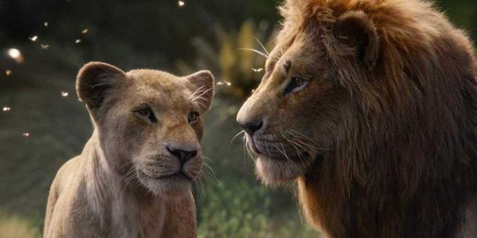 "The Lion King": Nala și Simba