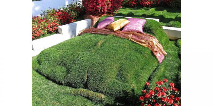 pat de iarbă
