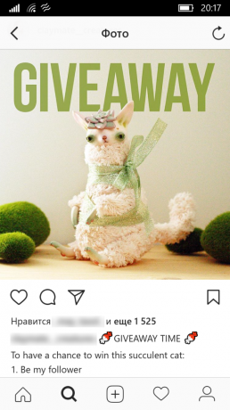 Business în Instagram: cadou