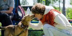 „A băga nasul unui cățeluș în bălțile sale este cel mai dăunător sfat”: interviuri cu experți în comportamentul câinilor