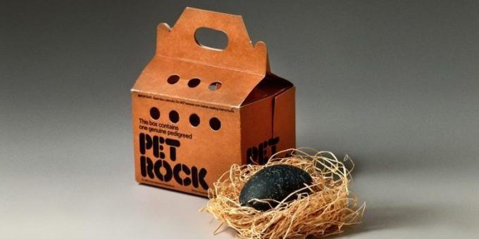 Idei de afaceri: Pet Rocks