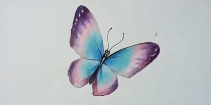 Adăugați aripi de fluture violet culoare mai saturate