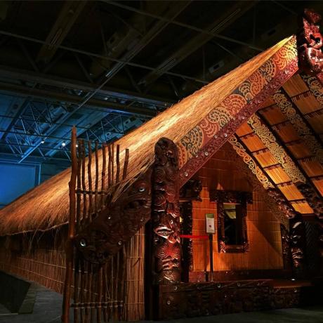 Muzeul de Noua Zeelandă (Te Papa Tongarewa)