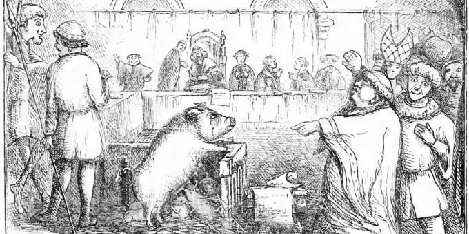 Un porc și purceii ei sunt judecați pentru uciderea unui copil. Ilustrație din Cartea zilei camerelor