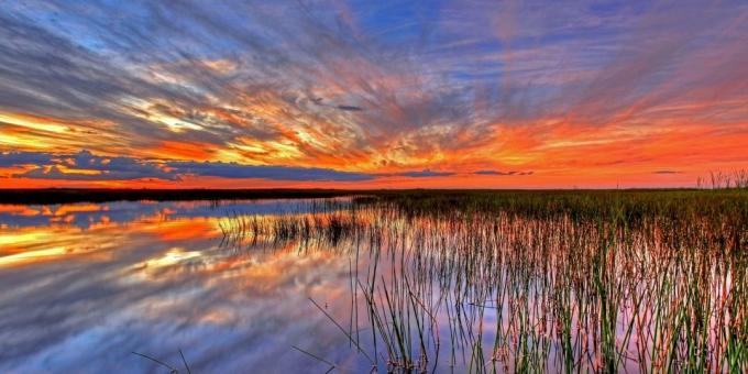 Everglades National Park, Statele Unite ale Americii