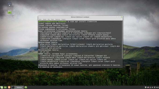 Cum se instalează software-ul în Linux: terminale