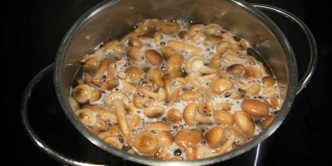 Cât de gătit ciuperci proaspete și congelate