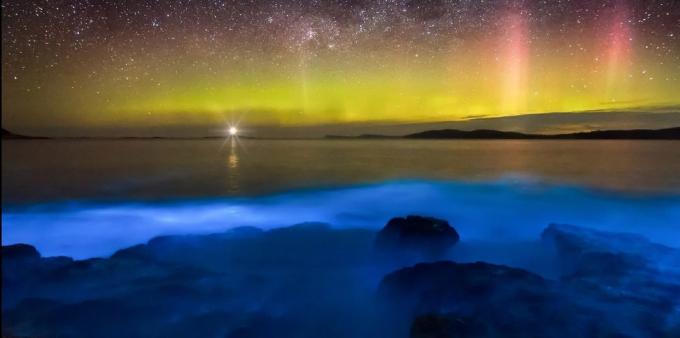 Locul uimitor de frumos: apele bioluminiscente în largul coastei Tasmania