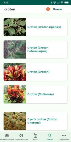 Identificarea tipurilor de plante de interior folosind PlantSnap