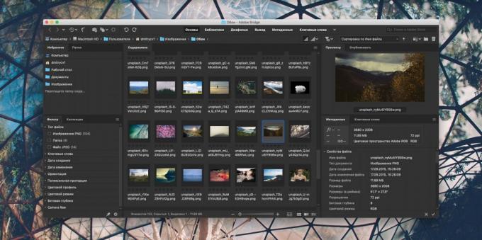 Cum de a organiza o colecție de fotografii: Adobe Bridge