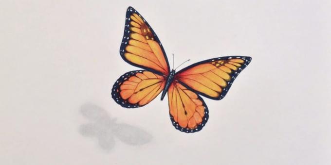 Cum de a desena un fluture markeri realiste și creioane colorate