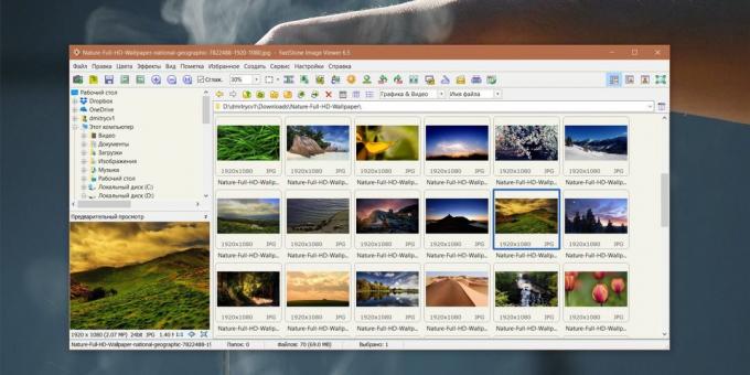 Cum de a organiza o colecție de fotografii: FastStone Image Viewer