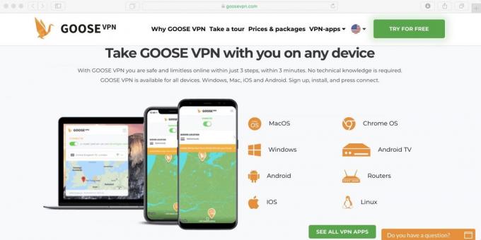 Cum pot utiliza Netflix în Rusia: cerere Set Goose VPN de descărcare și porniți-l